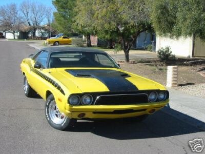 72 curious yellow front.JPG